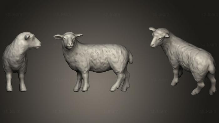 Статуэтки животных Sheep115